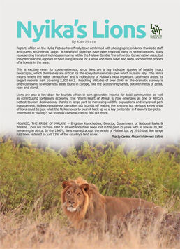 nyika lions